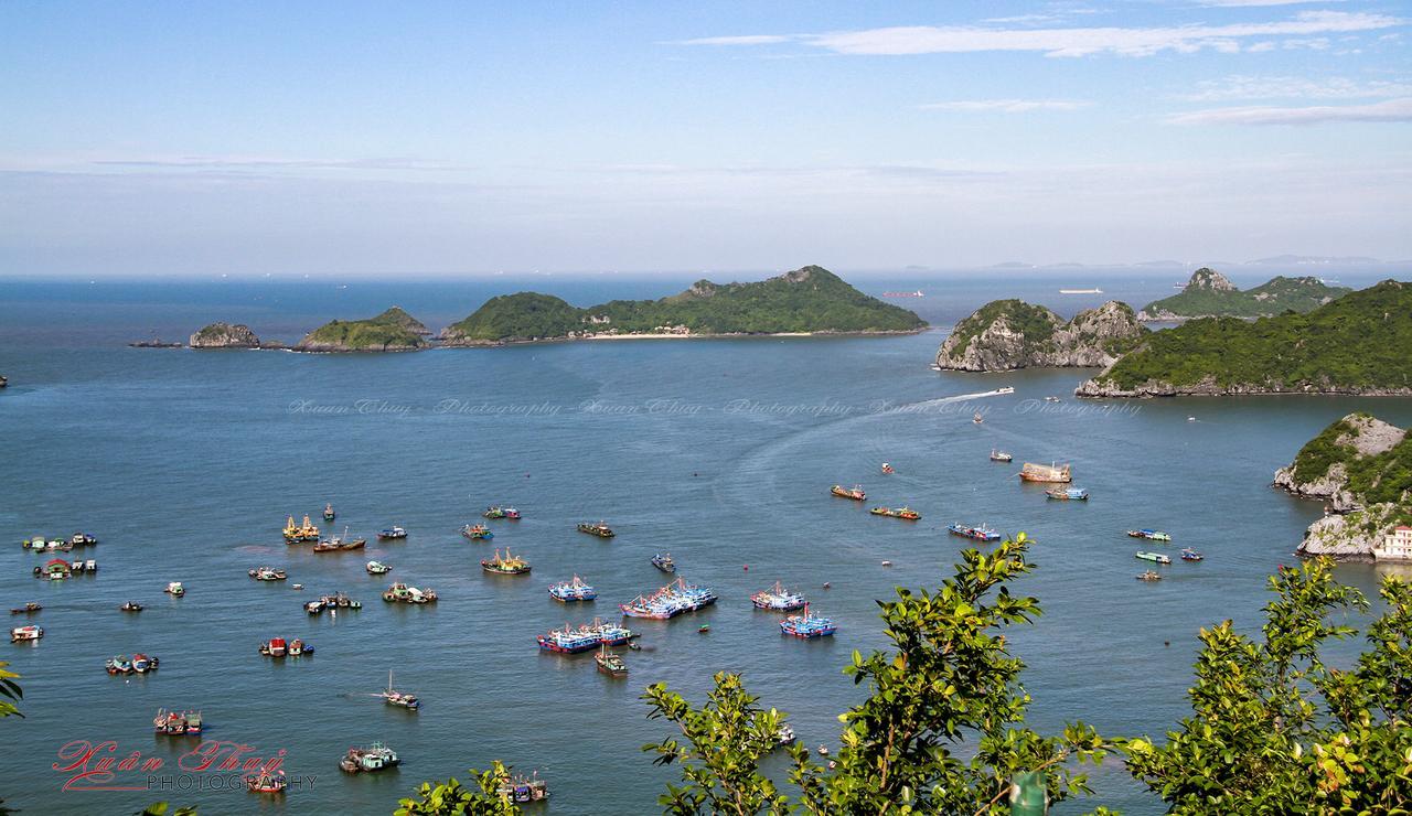 Cat Ba Hostel Cat Ba Island Exterior photo