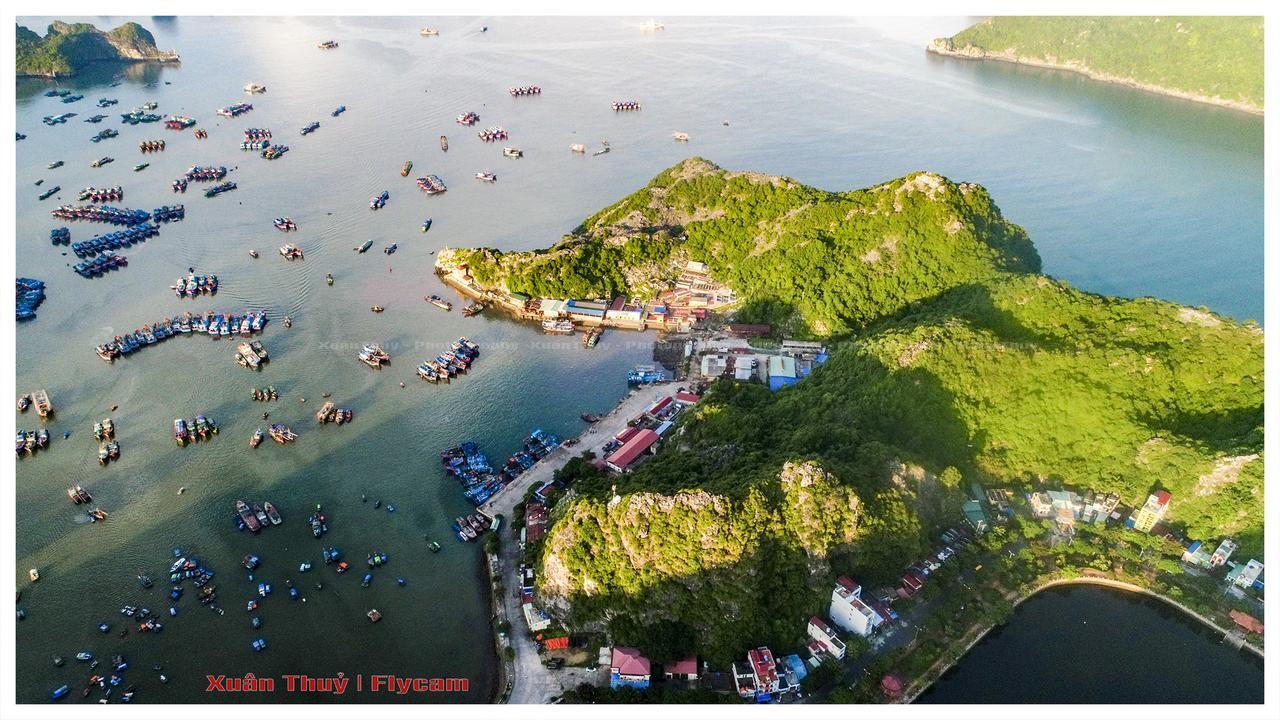 Cat Ba Hostel Cat Ba Island Exterior photo